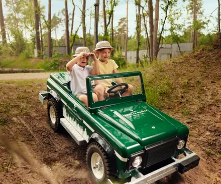 Kids Safari