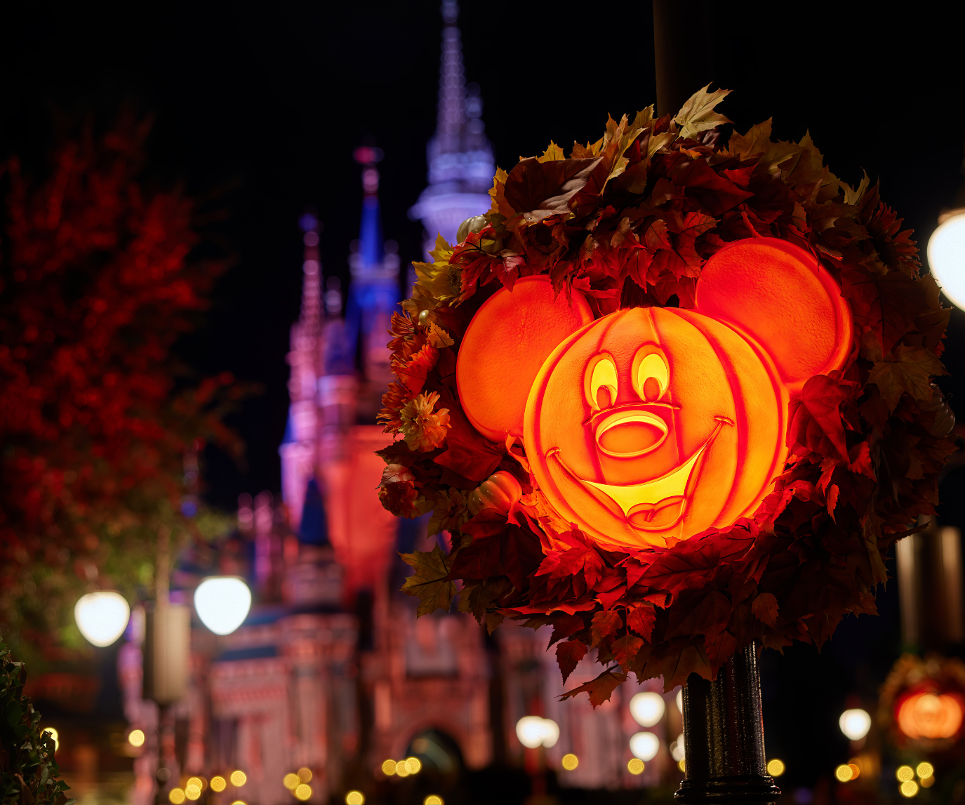 Walt Disney World