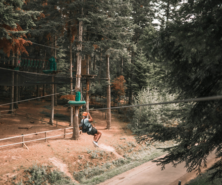 Zip Wire